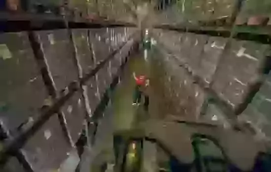 Managing Massive Shipments: Strategies for Grocery and Food Vendors with More Than 2,000 Cartons